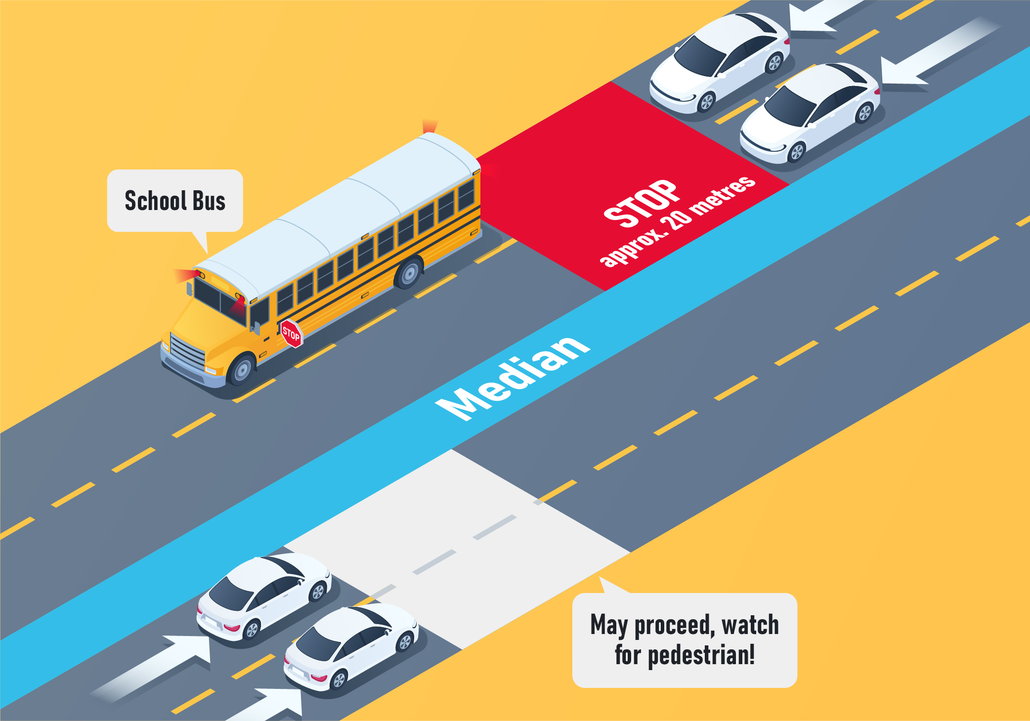 Which lanes need to stop for a school bus on a highway that is divided by a median? - Which lanes need to stop for a school bus on a highway that is divided by a median?