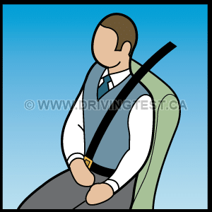 By what percentage does wearing a seatbelt decrease your chance of death in an accident? - By what percentage does wearing a seatbelt decrease your chance of death in an accident?