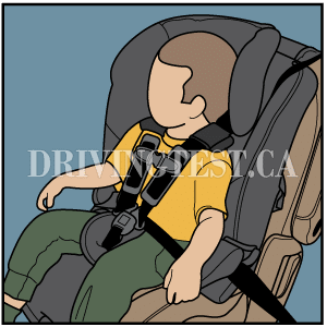 new-brunswick car - Where in the vehicle in the safest spot for an infant or child restraint system?