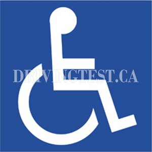 What does the Accessible Parking Permit do? - What does the Accessible Parking Permit do?