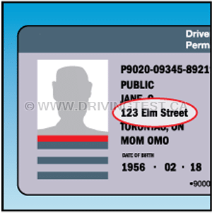 new-brunswick car - How long do you have to inform the New Brunswick Motor Vehicle Branch of any address or name changes?