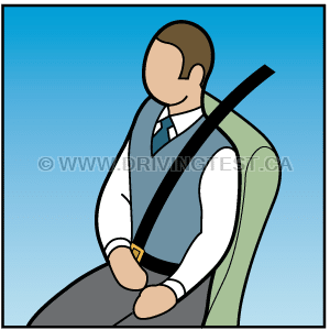 Test 1 - Who is responsible for ensuring that passengers over 16 years old are wearing their seatbelt?